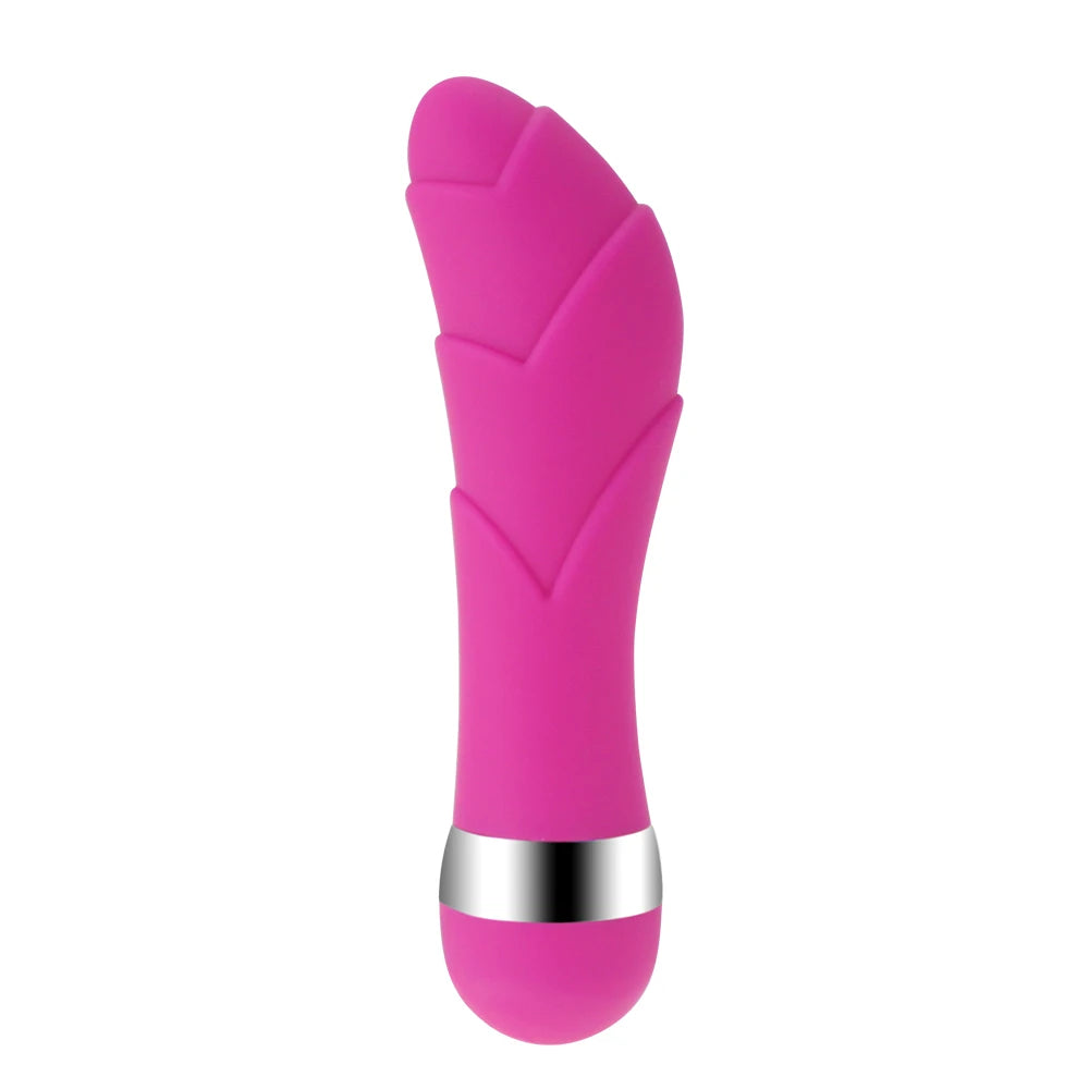 Forbidden Pleasure Vibrators